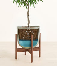 Load image into Gallery viewer, Sage Green stand:walnut