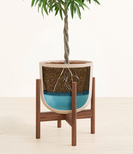 Load image into Gallery viewer, Sandy Pink stand:walnut