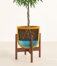 Load image into Gallery viewer, Sunset Orange stand:walnut