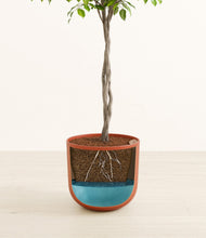 Load image into Gallery viewer, Earth Red