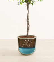 Load image into Gallery viewer, Sage Green