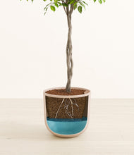 Load image into Gallery viewer, Sandy Pink