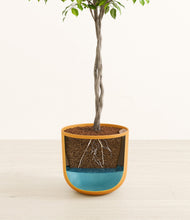 Load image into Gallery viewer, Sunset Orange