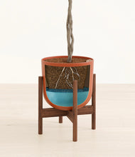 Load image into Gallery viewer, Earth Red stand:walnut