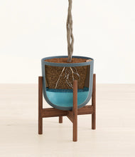 Load image into Gallery viewer, Iron Gray stand:walnut