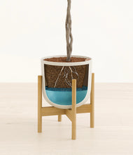 Load image into Gallery viewer, Natural Bamboo stand:bamboo