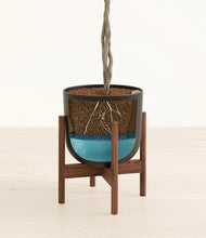 Load image into Gallery viewer, Stone Black stand:walnut