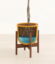 Load image into Gallery viewer, Sunset Orange stand:walnut