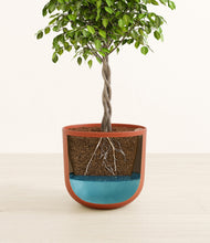 Load image into Gallery viewer, Earth Red