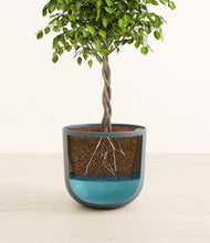 Load image into Gallery viewer, Iron Gray