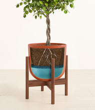 Load image into Gallery viewer, Earth Red stand:walnut