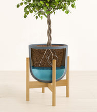 Load image into Gallery viewer, Iron Gray stand:bamboo