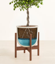 Load image into Gallery viewer, Natural Bamboo stand:walnut