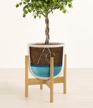 Load image into Gallery viewer, Natural Bamboo stand:bamboo