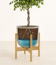 Load image into Gallery viewer, Sage Green stand:bamboo