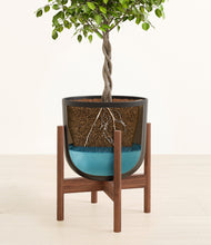 Load image into Gallery viewer, Stone Black stand:walnut