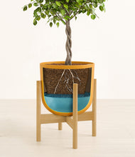 Load image into Gallery viewer, Sunset Orange stand:bamboo