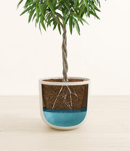 Load image into Gallery viewer, Natural Bamboo