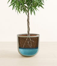 Load image into Gallery viewer, Sage Green