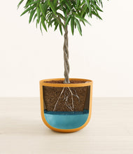 Load image into Gallery viewer, Sunset Orange