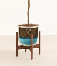 Load image into Gallery viewer, Natural Bamboo stand:walnut