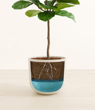 Load image into Gallery viewer, Natural Bamboo