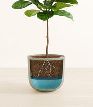 Load image into Gallery viewer, Sage Green