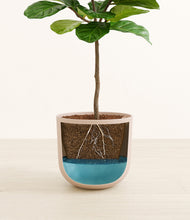 Load image into Gallery viewer, Sandy Pink