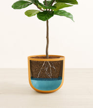 Load image into Gallery viewer, Sunset Orange