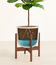 Load image into Gallery viewer, Natural Bamboo stand:walnut