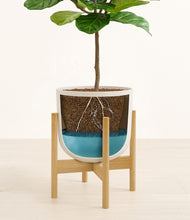 Load image into Gallery viewer, Natural Bamboo stand:bamboo