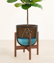 Load image into Gallery viewer, Stone Black stand:walnut