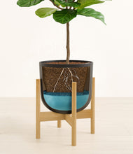 Load image into Gallery viewer, Stone Black stand:bamboo