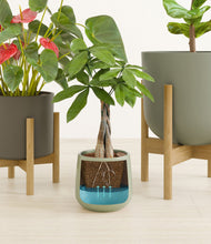 Load image into Gallery viewer, Countryside stand:two_stands