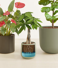 Load image into Gallery viewer, Countryside