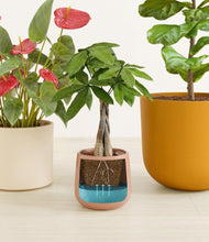 Load image into Gallery viewer, Evening Sky