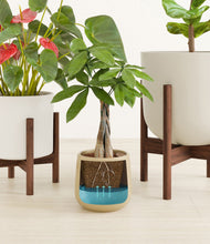 Load image into Gallery viewer, Misty Morning stand:two_stands