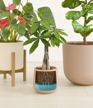 Load image into Gallery viewer, Sandy stand:one_stand