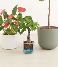 Load image into Gallery viewer, Whispering Waves