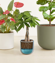 Load image into Gallery viewer, Whispering Waves