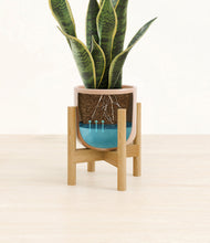 Load image into Gallery viewer, Glossy Pink stand:bamboo