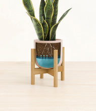 Load image into Gallery viewer, Sandy Pink stand:bamboo