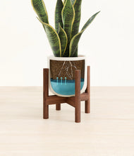 Load image into Gallery viewer, Cotton White stand:walnut