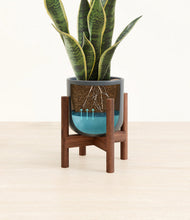 Load image into Gallery viewer, Iron Gray stand:walnut