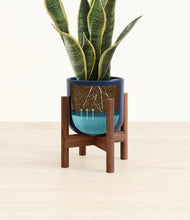 Load image into Gallery viewer, Twilight Blue stand:walnut