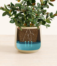 Load image into Gallery viewer, Almond Green