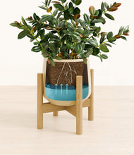 Load image into Gallery viewer, Almond Green stand:bamboo