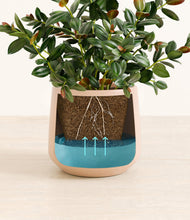 Load image into Gallery viewer, Gentle Pink