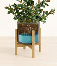 Load image into Gallery viewer, Dark Olive stand:bamboo