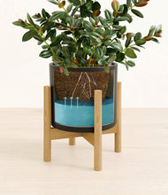 Load image into Gallery viewer, Black stand:bamboo